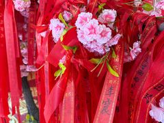 -龙塔