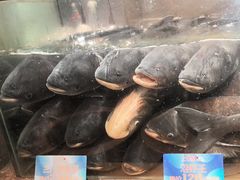 -上名堂·鱼头好吃(体育场路店)