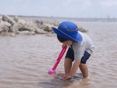 -南汇嘴观海公园