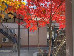 -遇见小院—虹鳟鱼•农家菜(怀柔店)