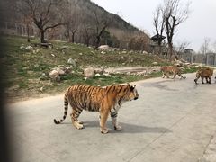 -西安秦岭野生动物园