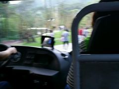 -深圳仙湖植物园-停车场