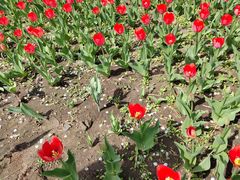 -长春公园(普阳街道)