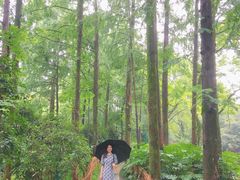 -解香楼(八盘岭路店)