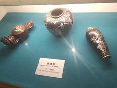 -青岛贝壳博物馆