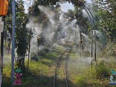 -嘉北郊野公园