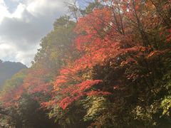 -本溪老边沟风景区