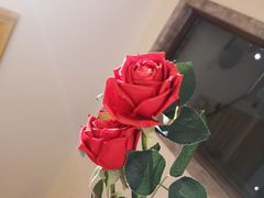 -盤古Spa泰式古法抓龙筋(鲁迅路店)