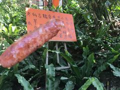 -太鲁阁公园