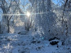 -中旅松花湖滑雪场