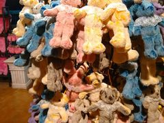 android_upload_pic-济州岛泰迪熊博物馆