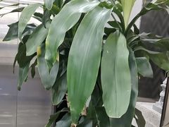 -常熟玉蕙口腔医院