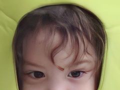 -杨记齐齐哈尔烤肉(总店)