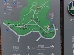 -上海佘山国家森林公园天马山园