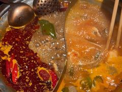 -熊喵来了火锅·牧场好肉(邯郸邯山万达店)