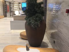 -全季酒店(北京朝阳公园店)