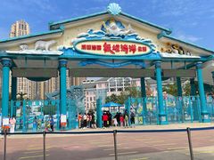 -海合安成都极地海洋公园