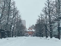 -北海道厅旧本厅舍(旧本庁舎)