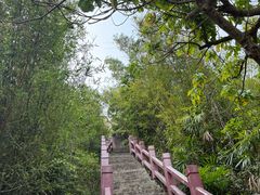 -东澳岛