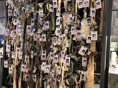 -茑屋书店(天目里店)