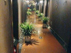 -金狮麟·新豫菜(杏石口路店)