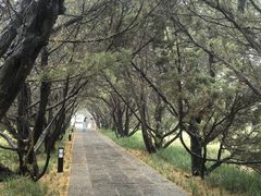 -洛阳古墓博物馆