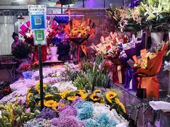-花鸟鱼虫鲜花绿植市场(玉泉路店)