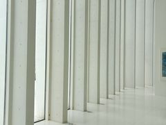 -中国宣纸文化园