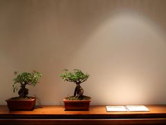 安缦-北京颐和宾馆