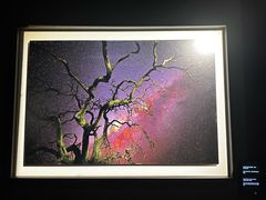 -罗红摄影艺术馆