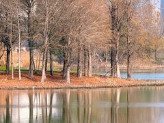 -贡湖湾湿地公园