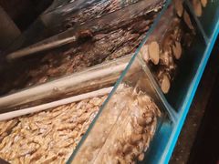 -粗茶淡饭·蒸鲜(光谷店)