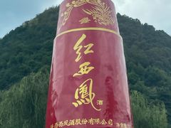 -关山草原