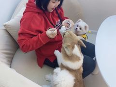 -怪兽屋·羊驼·猫咖·狗咖(俊华广场店)