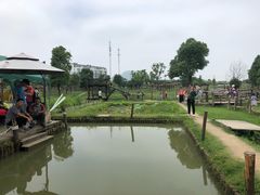 -田园东方蜜桃村的田野营地