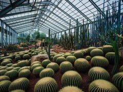 -南通洲际绿博园