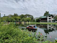 -桂湖森林公园