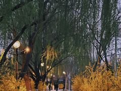 -南翠屏公园
