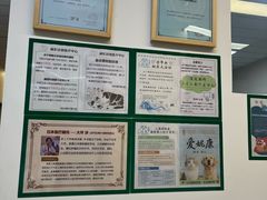 -爱妮康宠物医院·干细胞免疫细胞·肿瘤·心脏(张江店)