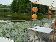 -白鹭湾湿地公园