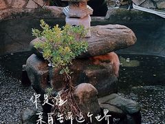 -南普陀寺