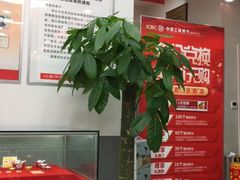 -中国工商银行(重庆两路口支行)