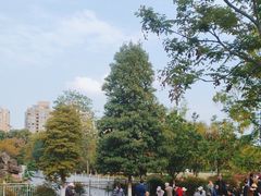 -沙河三洞古桥公园