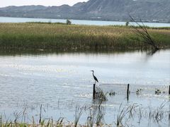 -野鸭湖国家湿地公园