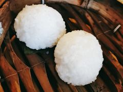 茨毛圆子-双塔老饭店