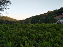 -石燕湖生态旅游景区