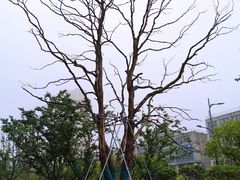 -昆山招商花园城