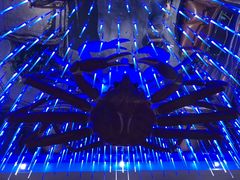 -蟹之国·精品蟹料理(极地店)