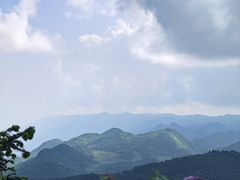 -武陵山森林公园