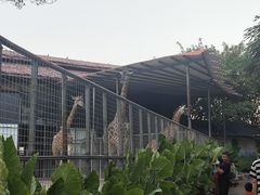 -灵玲国际马戏城